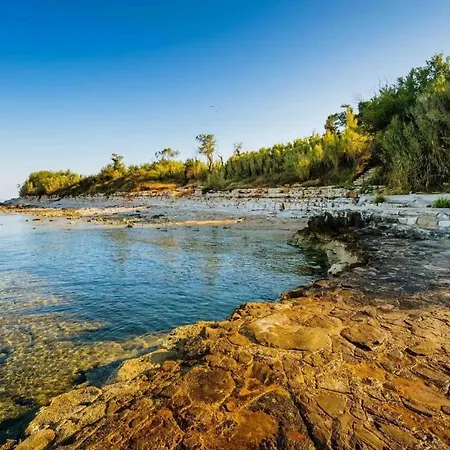 Διαμέρισμα Silvy Dajla App *